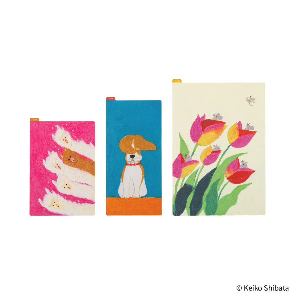 Imagen del producto 4